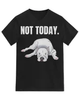 Unisex Jersey SS V-Neck T-Shirt Unisex Jersey SS V-Neck T-Shirt