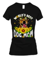 Women's Soft Style Fitted T-Shirt Women's Soft Style Fitted T-Shirt