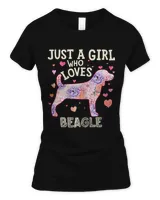 Women's Soft Style Fitted T-Shirt Women's Soft Style Fitted T-Shirt