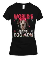 Women's Soft Style Fitted T-Shirt Women's Soft Style Fitted T-Shirt