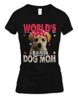 Women's Soft Style Fitted T-Shirt Women's Soft Style Fitted T-Shirt
