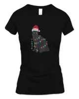Women's Soft Style Fitted T-Shirt Women's Soft Style Fitted T-Shirt