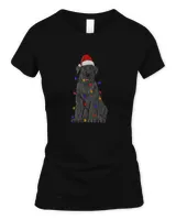 Women's Soft Style Fitted T-Shirt Women's Soft Style Fitted T-Shirt