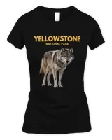 Women's Soft Style Fitted T-Shirt Women's Soft Style Fitted T-Shirt