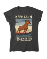 Women's Soft Style Fitted T-Shirt Women's Soft Style Fitted T-Shirt