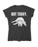 Women's Soft Style Fitted T-Shirt Women's Soft Style Fitted T-Shirt
