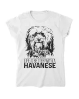Women's Soft Style Fitted T-Shirt Women's Soft Style Fitted T-Shirt