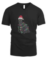 Men's V-Neck T-Shirt Men's V-Neck T-Shirt