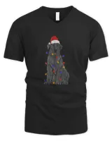 Men's V-Neck T-Shirt Men's V-Neck T-Shirt