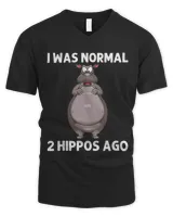 Men's V-Neck T-Shirt Men's V-Neck T-Shirt