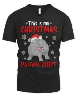 Men's V-Neck T-Shirt Men's V-Neck T-Shirt