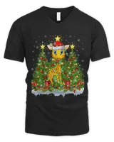 Men's V-Neck T-Shirt Men's V-Neck T-Shirt