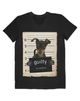 Men's V-Neck T-Shirt Men's V-Neck T-Shirt