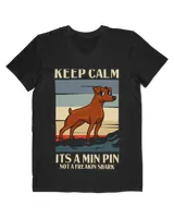 Men's V-Neck T-Shirt Men's V-Neck T-Shirt