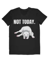 Men's V-Neck T-Shirt Men's V-Neck T-Shirt