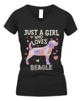 Women's V-Neck T-Shirt Women's V-Neck T-Shirt