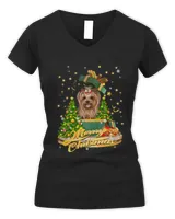 Women's V-Neck T-Shirt Women's V-Neck T-Shirt