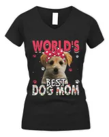 Women's V-Neck T-Shirt Women's V-Neck T-Shirt