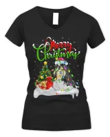 Women's V-Neck T-Shirt Women's V-Neck T-Shirt