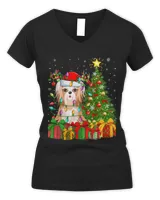 Women's V-Neck T-Shirt Women's V-Neck T-Shirt
