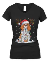 Women's V-Neck T-Shirt Women's V-Neck T-Shirt