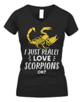 Women's V-Neck T-Shirt Women's V-Neck T-Shirt
