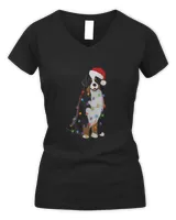 Women's V-Neck T-Shirt Women's V-Neck T-Shirt