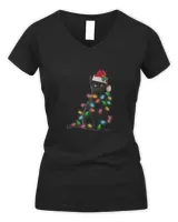 Women's V-Neck T-Shirt Women's V-Neck T-Shirt