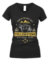 Women's V-Neck T-Shirt Women's V-Neck T-Shirt