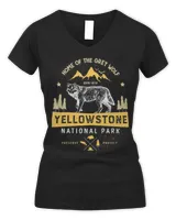 Women's V-Neck T-Shirt Women's V-Neck T-Shirt