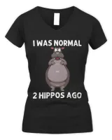 Women's V-Neck T-Shirt Women's V-Neck T-Shirt