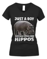 Women's V-Neck T-Shirt Women's V-Neck T-Shirt