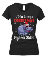 Women's V-Neck T-Shirt Women's V-Neck T-Shirt
