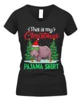 Women's V-Neck T-Shirt Women's V-Neck T-Shirt