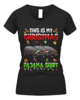 Women's V-Neck T-Shirt Women's V-Neck T-Shirt