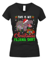 Women's V-Neck T-Shirt Women's V-Neck T-Shirt