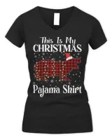 Women's V-Neck T-Shirt Women's V-Neck T-Shirt