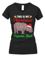 Women's V-Neck T-Shirt Women's V-Neck T-Shirt