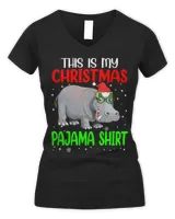 Women's V-Neck T-Shirt Women's V-Neck T-Shirt