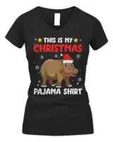 Women's V-Neck T-Shirt Women's V-Neck T-Shirt