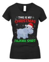Women's V-Neck T-Shirt Women's V-Neck T-Shirt