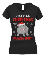 Women's V-Neck T-Shirt Women's V-Neck T-Shirt