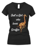 Women's V-Neck T-Shirt Women's V-Neck T-Shirt