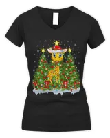 Women's V-Neck T-Shirt Women's V-Neck T-Shirt