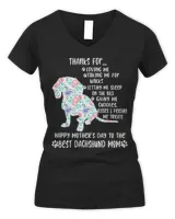 Women's V-Neck T-Shirt Women's V-Neck T-Shirt