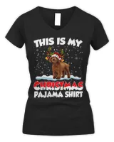 Women's V-Neck T-Shirt Women's V-Neck T-Shirt