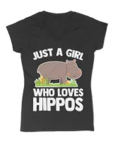 Women's V-Neck T-Shirt Women's V-Neck T-Shirt