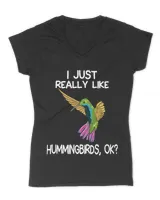 Women's V-Neck T-Shirt Women's V-Neck T-Shirt
