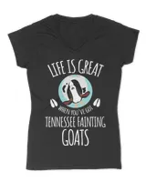Women's V-Neck T-Shirt Women's V-Neck T-Shirt