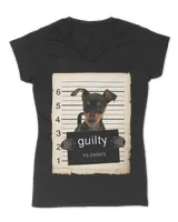 Women's V-Neck T-Shirt Women's V-Neck T-Shirt